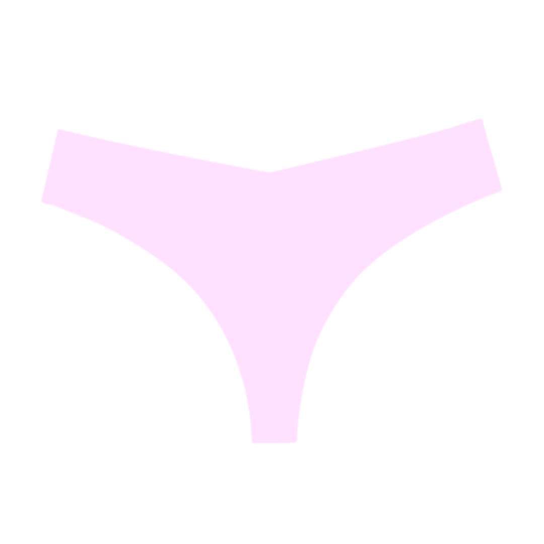 Perkies Seamless Panties: Thongs (mid-rise)