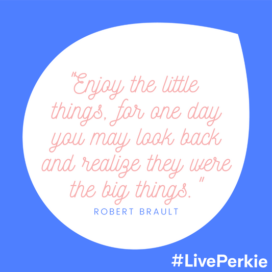 The Perkies Lifestyle Diaries: Enjoy the Little Things, for One Day You May Look Back and Realize They were the Big Things